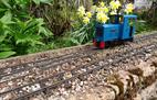 Davy's recently refurbished Peldon diesel basks in the spring sunshine 